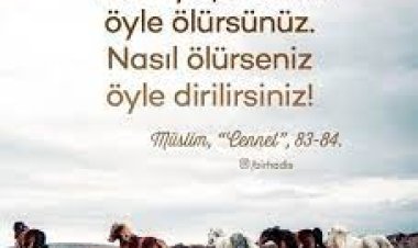 Nasıl Yaşarsan Öyle Ölürsün