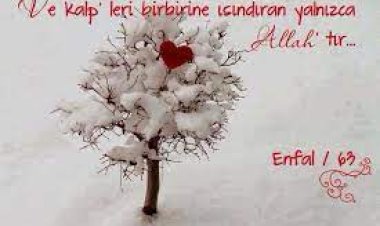 Enfal 63