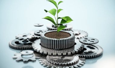 Enerjinizi Kullanmayı Öğrenin