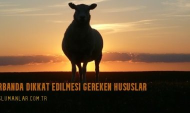 Kurbanda Dikkat Edilmesi Gerekenler
