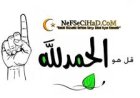 NefSeCihad.Com - iSLami Sohbet, Dini Sohbet, iSLami Chat